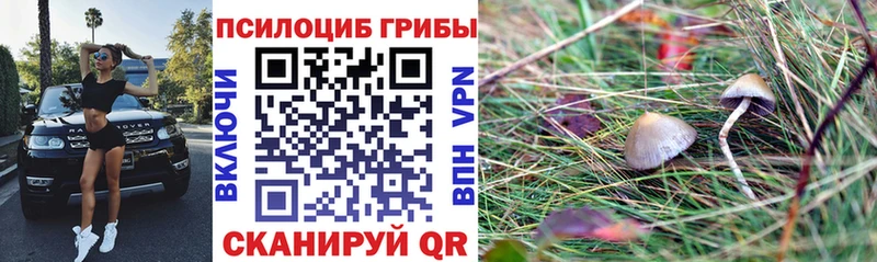 даркнет сайт  мега как зайти  Псилоцибиновые грибы мухоморы  Серафимович 